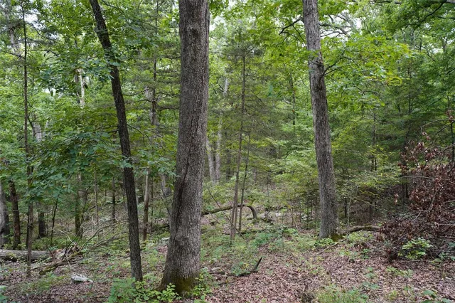 $392,000 | 28 Hwy 100 Hermann Mo 65041, Hermann, MO 65041