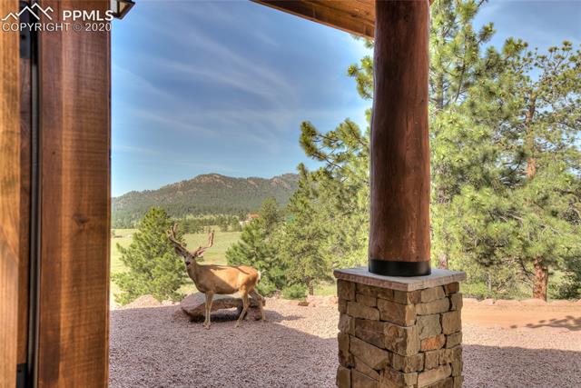 876 Old Ranch Road Florissant, CO 80816 - Photo 31 of 40 Gallery Image 31