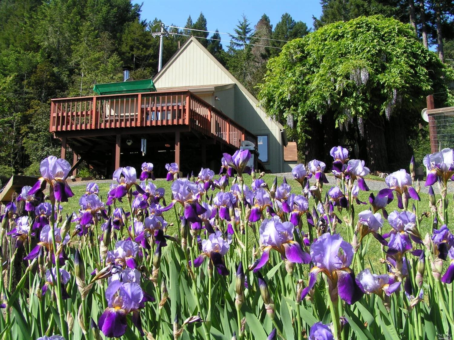 18330 Old Monte Rio Road Guerneville, CA 95446 - Photo 1 of 1 Gallery Image 1