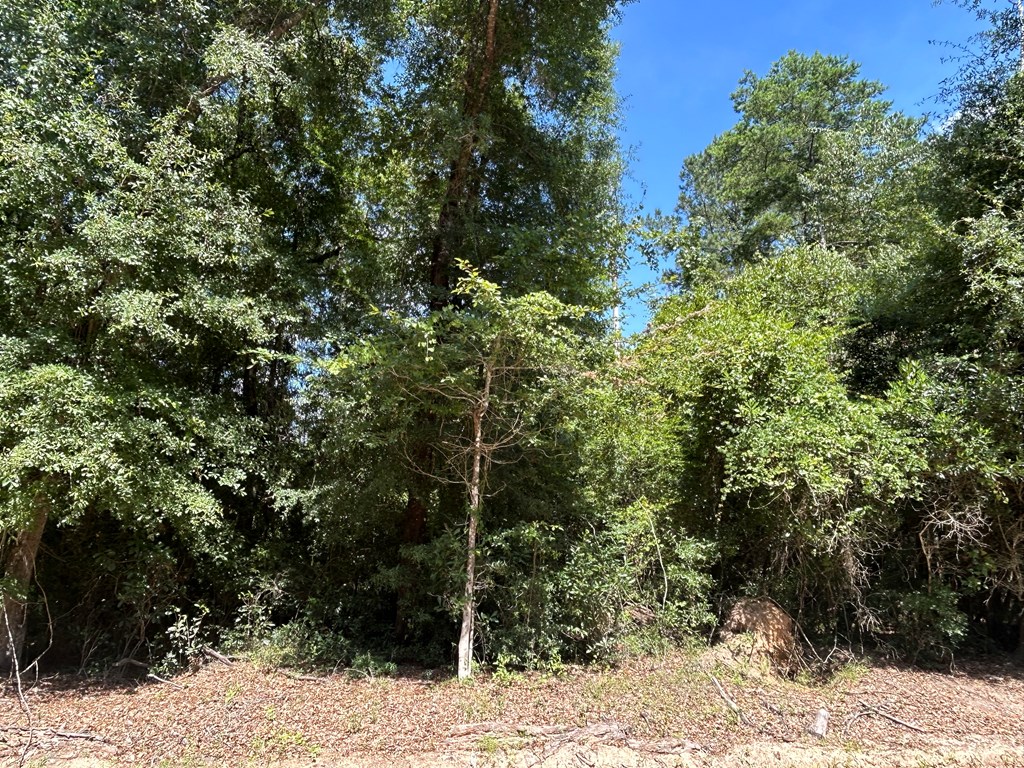 19.16-ac 19.16-ac Ramer Loop Cottonwood, AL 36320 - Photo 16 of 34