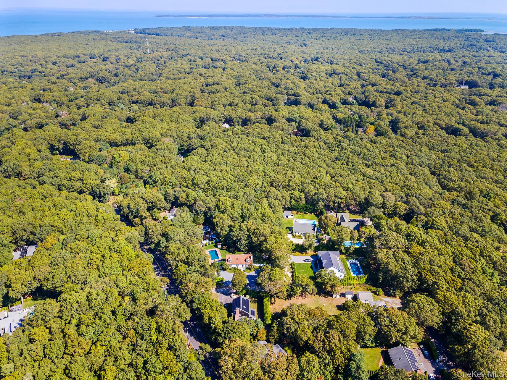 4 Calvin Street East Hampton, NY 11937 - Photo 18 of 23 a view of a field with trees and houses