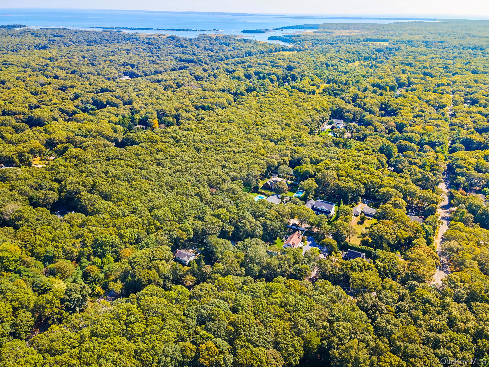 4 Calvin Street East Hampton, NY 11937 - Photo 19 of 23 an aerial view of a houses with a lush green hillside