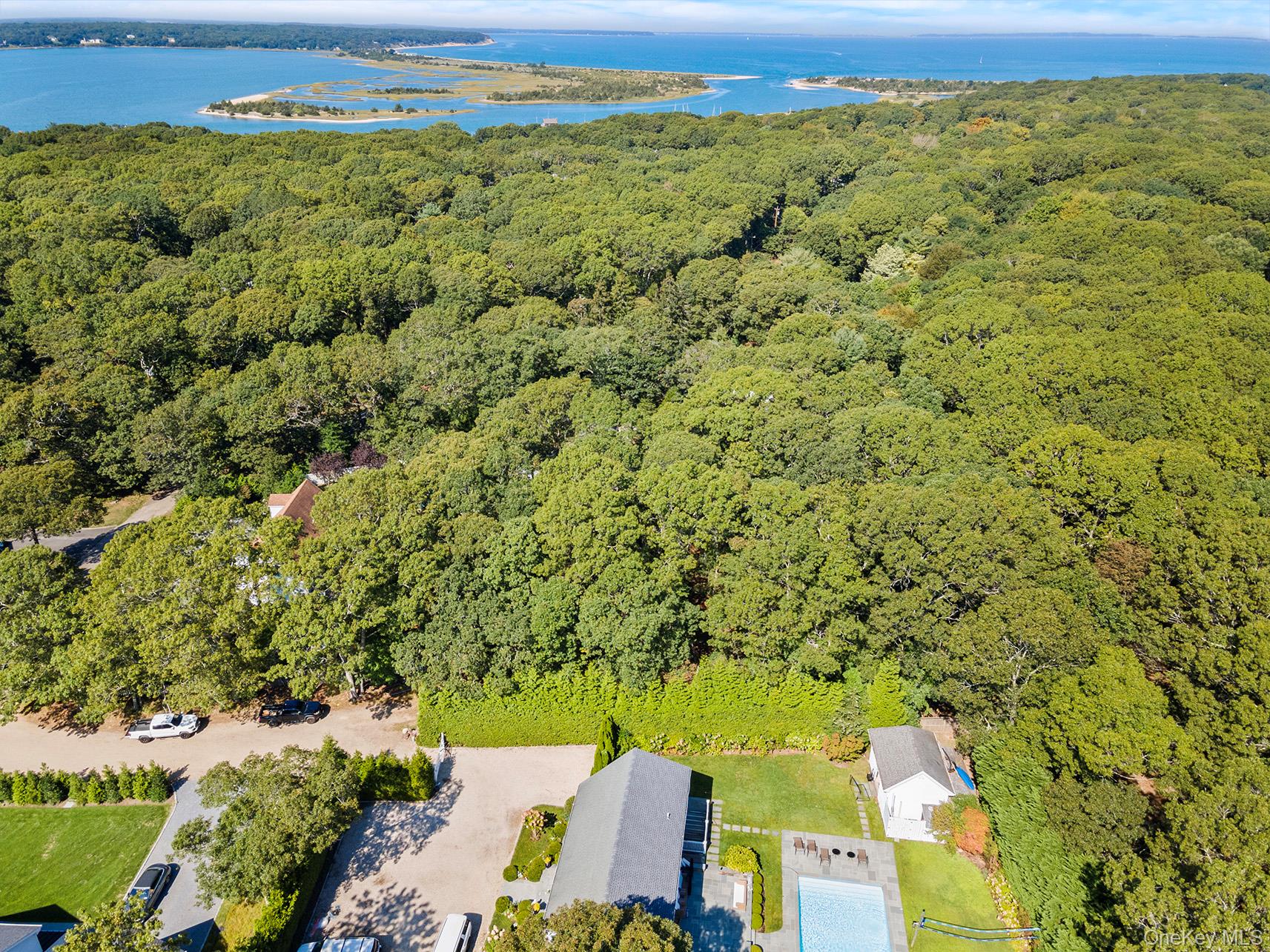4 Calvin Street East Hampton, NY 11937 - Photo 20 of 23 a view of a city with lush green forest