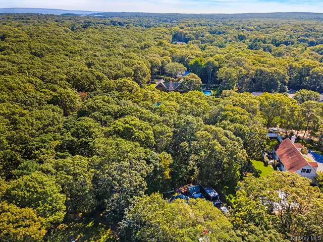 an aerial view of residential houses with outdoor space and trees