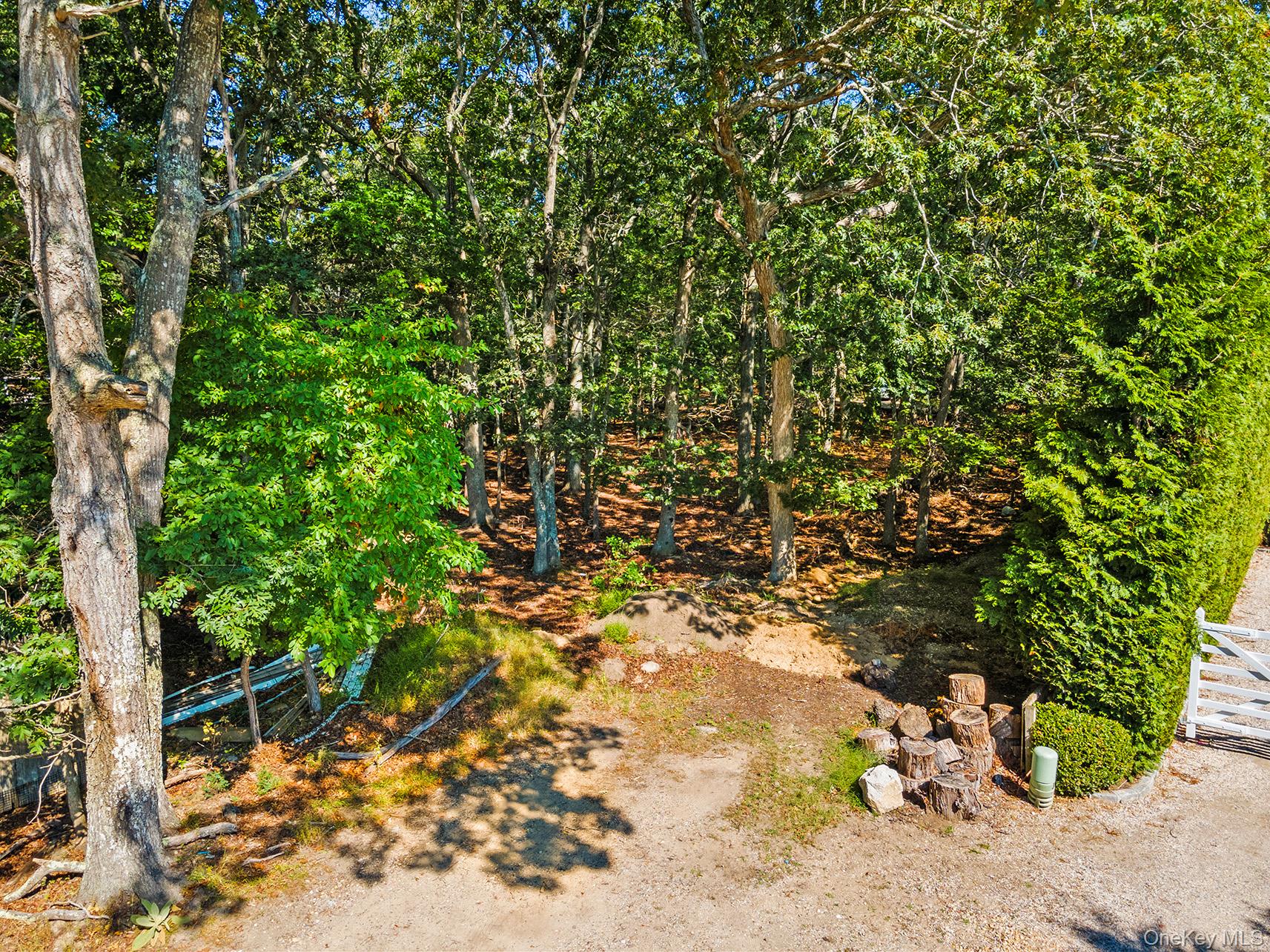 4 Calvin Street East Hampton, NY 11937 - Photo 23 of 23 a backyard of a house with a tree