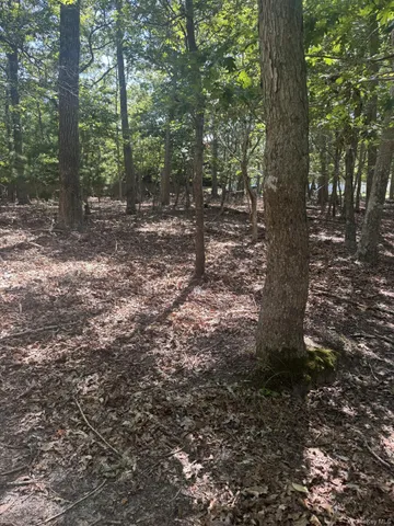 a view of outdoor space and trees