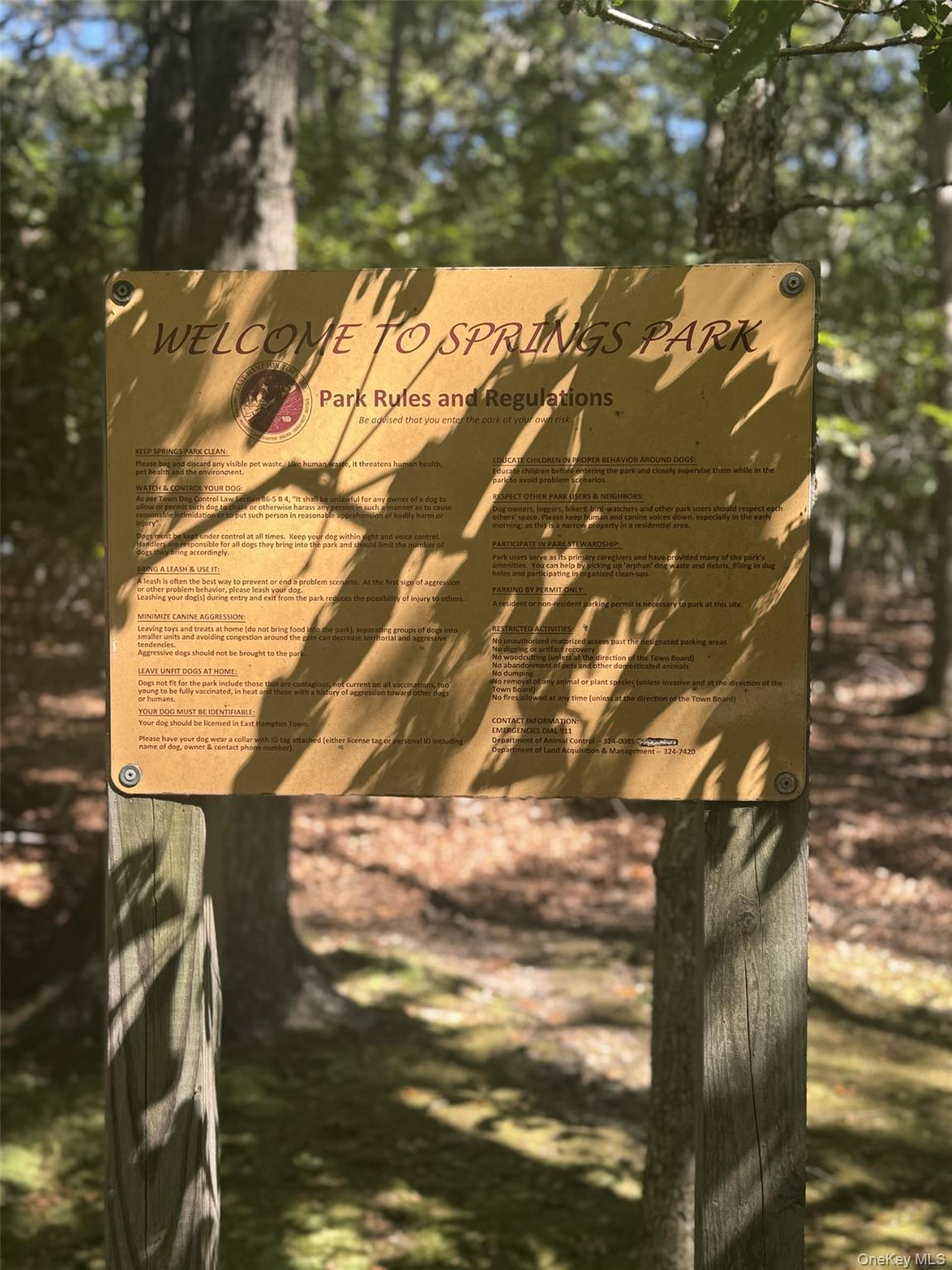 4 Calvin Street East Hampton, NY 11937 - Photo 6 of 23 a view of an outdoor space