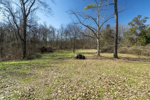 a view of a yard with large trees