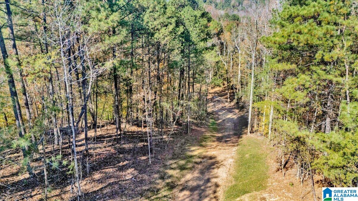 0 Hammock Road Trussville, AL 35173 - Photo 25 of 31