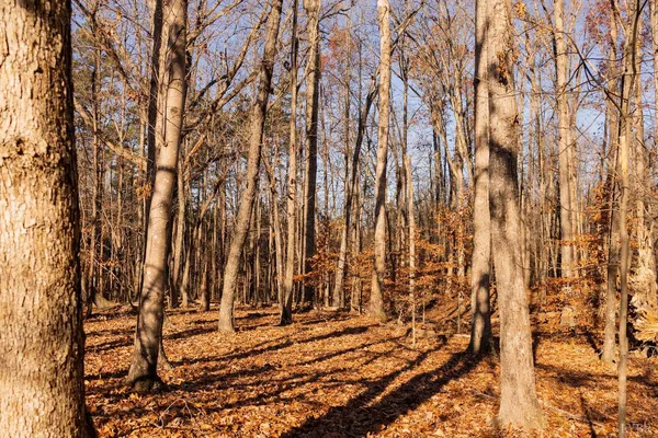 $90,000 | 1200 Bradley Creek Road, Nathalie, VA 24577