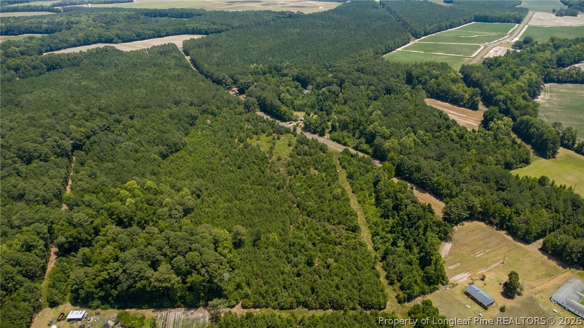 422 Drye Road Council, NC 28434 - Photo 5 of 9