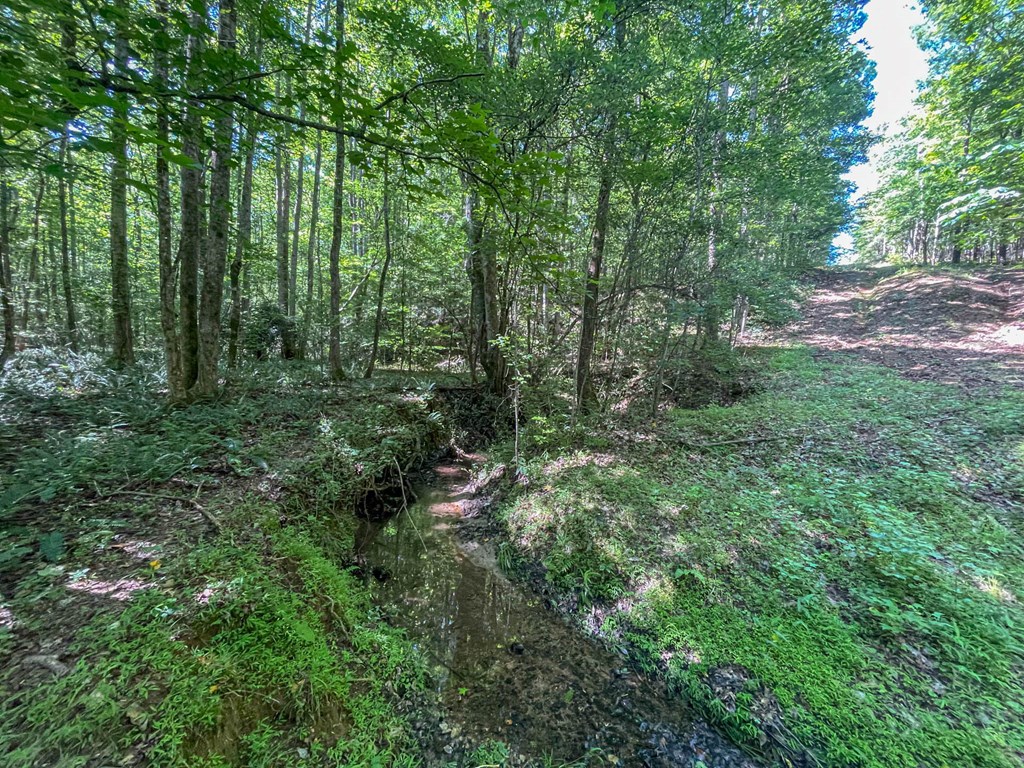 231 Lower Lovelace Road West Point, GA 31833 - Photo 5 of 49