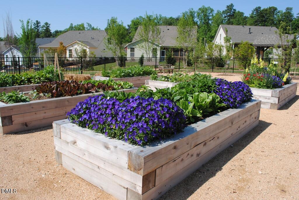 136 Post Oak Road Chapel Hill, NC 27516 - Photo 62 of 76 Briar Patch Community Garden