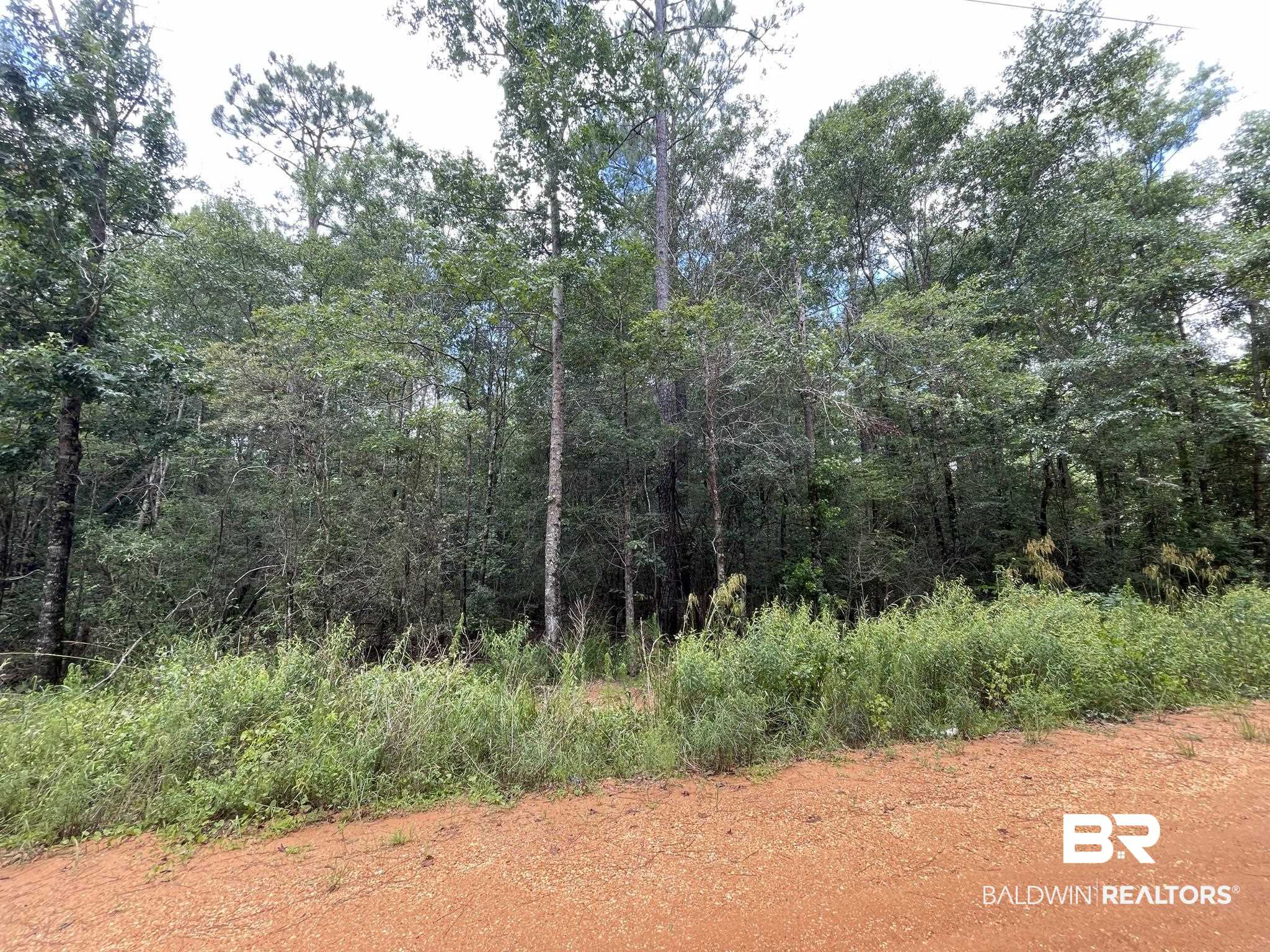 1 Friendship Road Flomaton, AL 36441 - Photo 6 of 13
