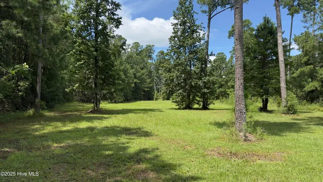 $90,000 | Lot 73 Bailey Pointe, Belhaven, NC 27810