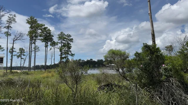 $90,000 | Lot 73 Bailey Pointe, Belhaven, NC 27810