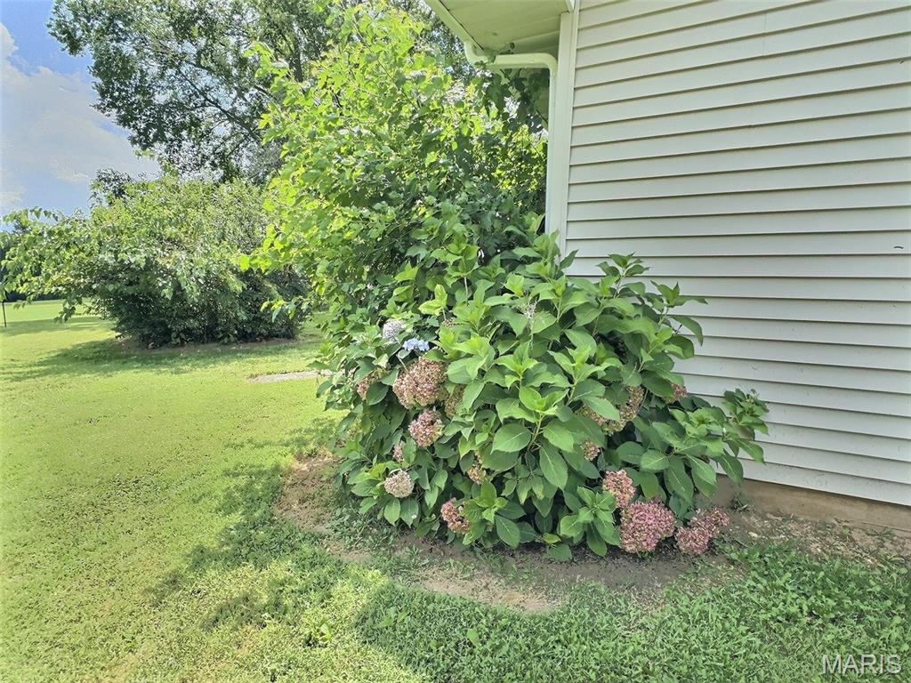 6640 Highway 61 Jackson, MO 63755 - Photo 5 of 38