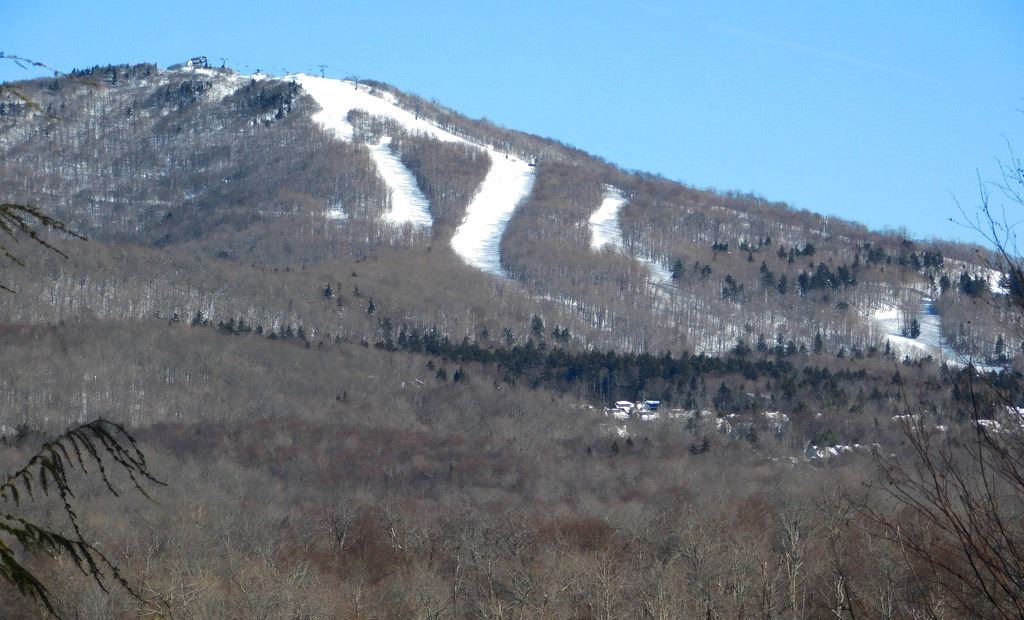23 Houston Road Winhall, VT 05340 - Photo 2 of 10