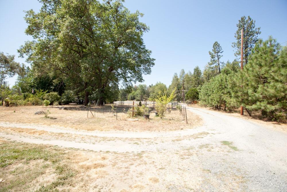 2891 Jerome Prairie Road Grants Pass, OR 97527 - Photo 13 of 23 Additional Photo