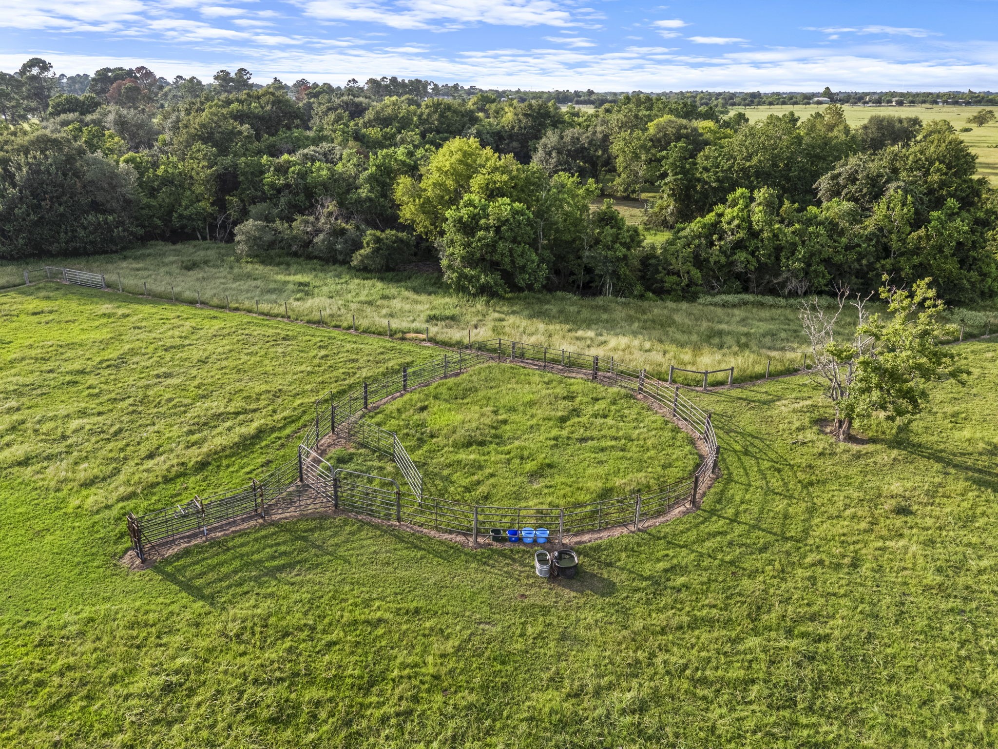 15610 Penick Road Waller, TX 77484 - Photo 11 of 49