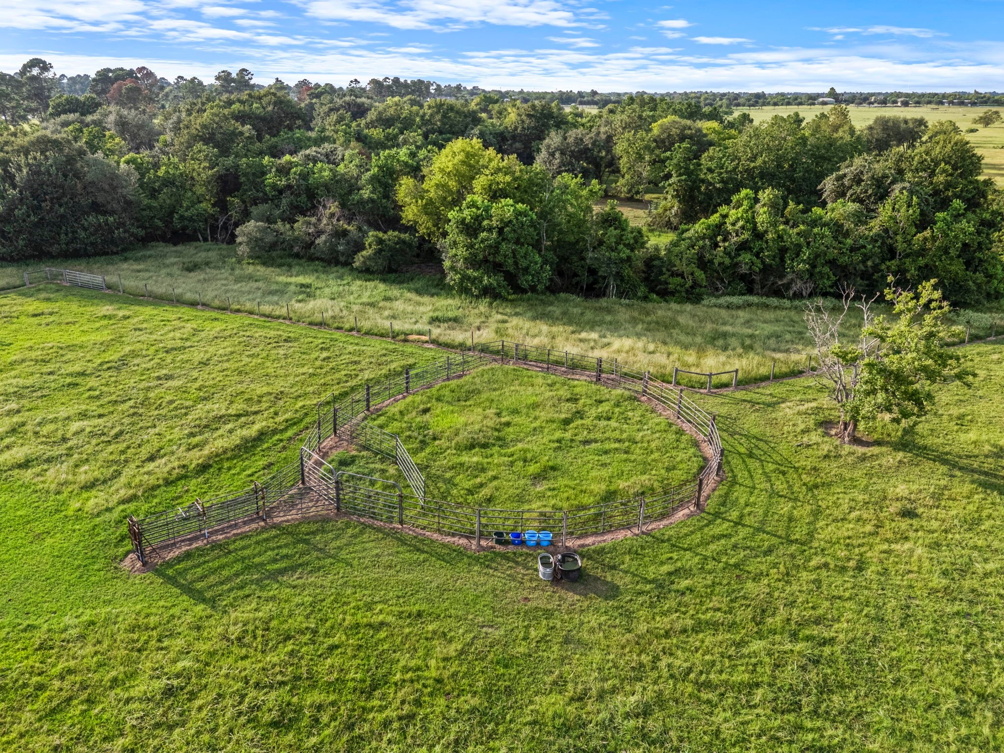 15610 Penick Road Waller, TX 77484 - Photo 11 of 49 a view of a outdoor space