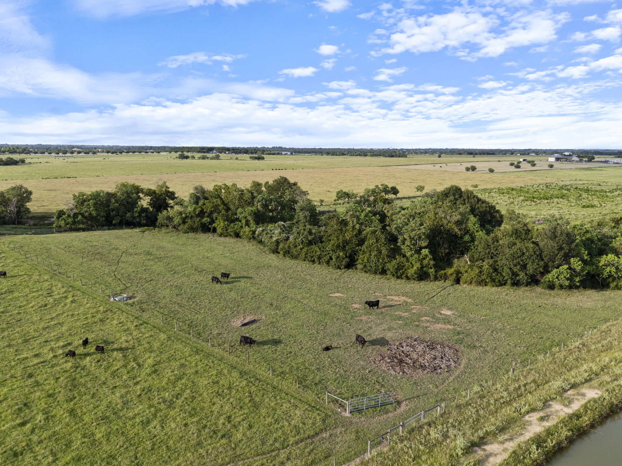 15610 Penick Road Waller, TX 77484 - Photo 14 of 49