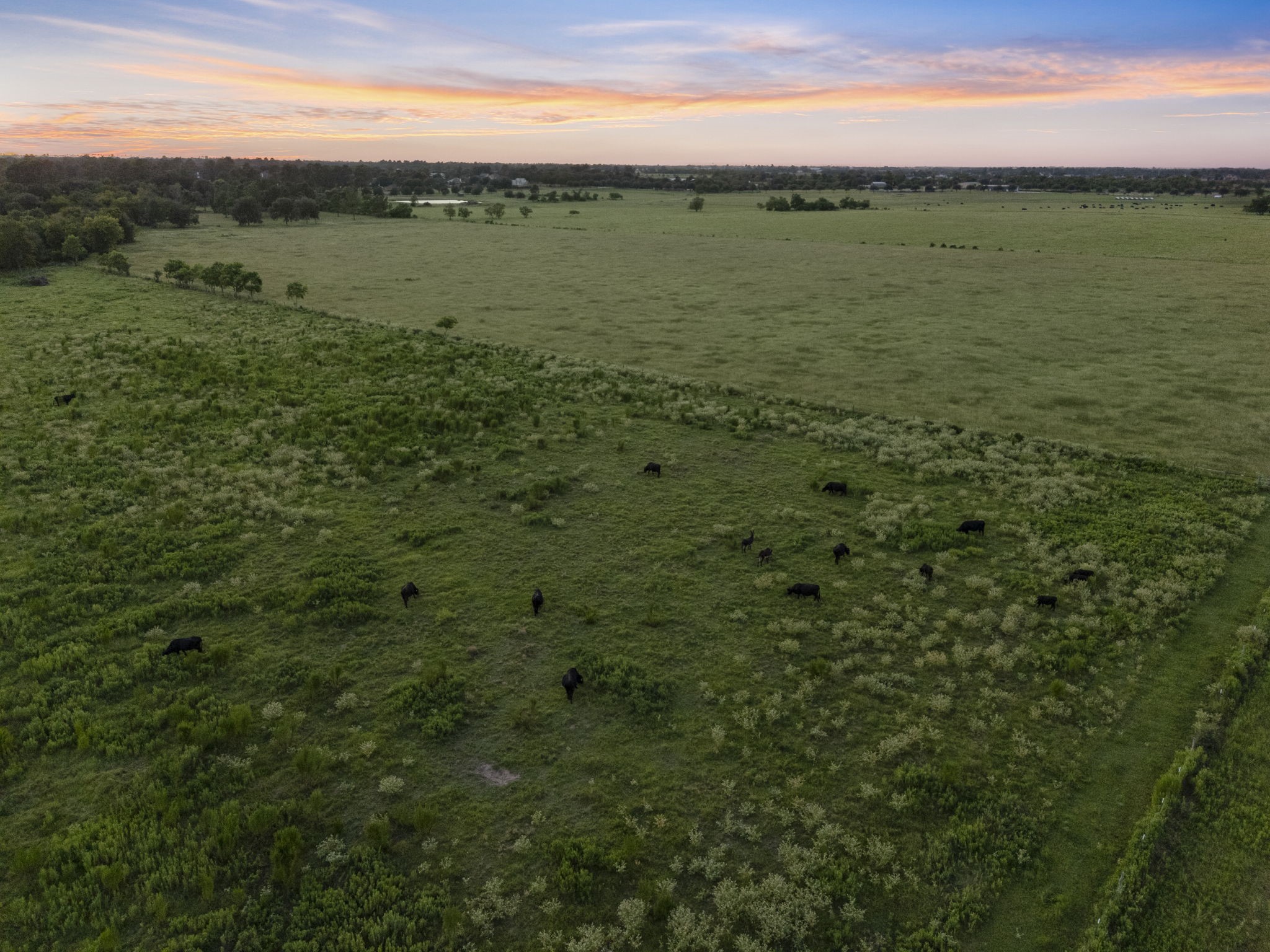 15610 Penick Road Waller, TX 77484 - Photo 16 of 49