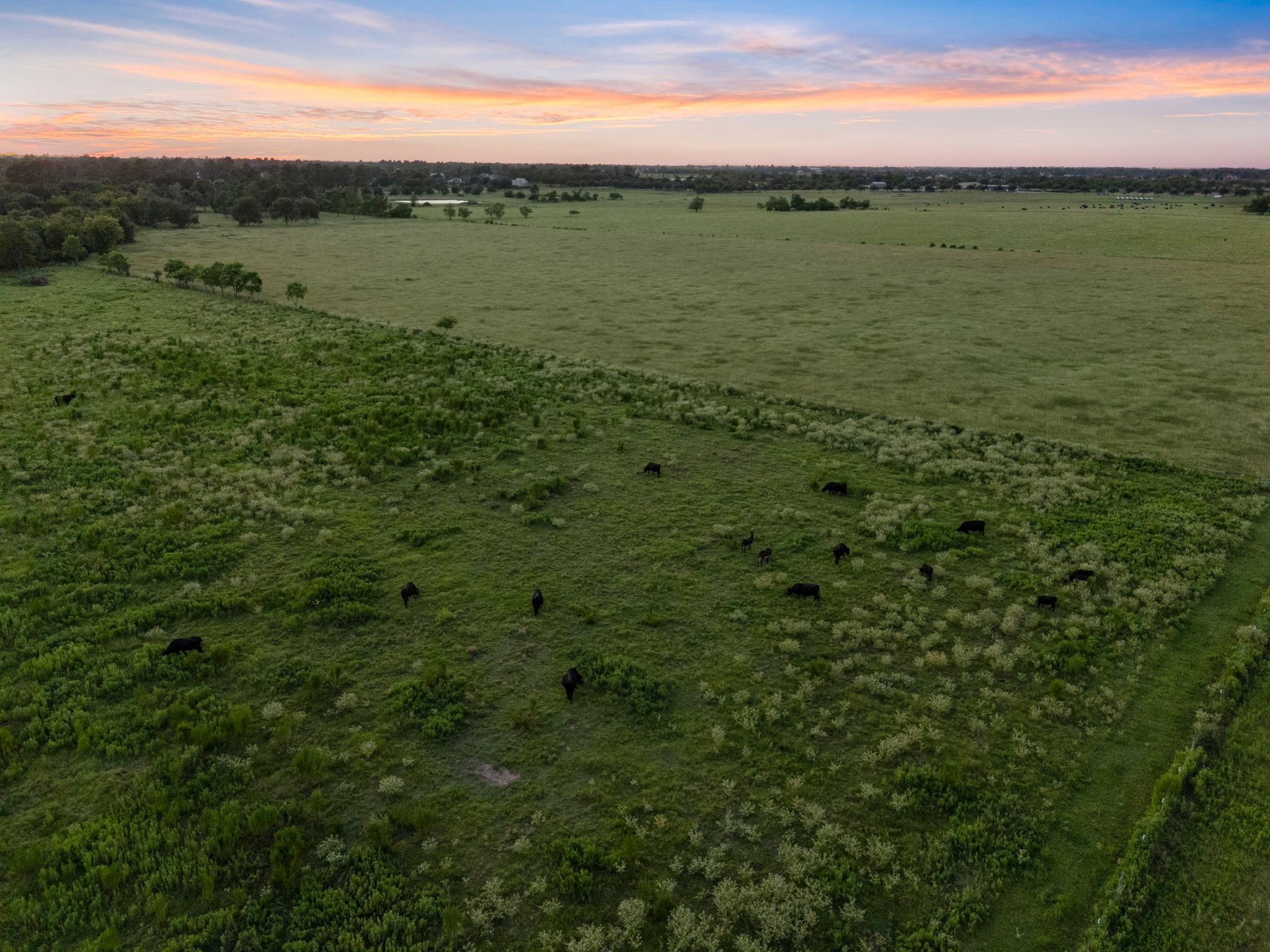 15610 Penick Road Waller, TX 77484 - Photo 16 of 49 a view of a field with an ocean