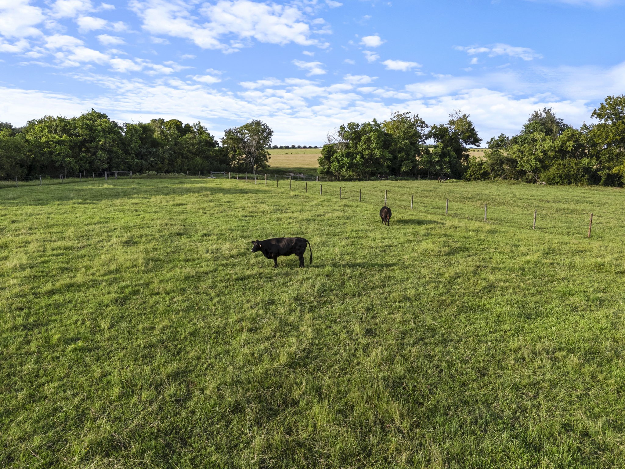 15610 Penick Road Waller, TX 77484 - Photo 17 of 49