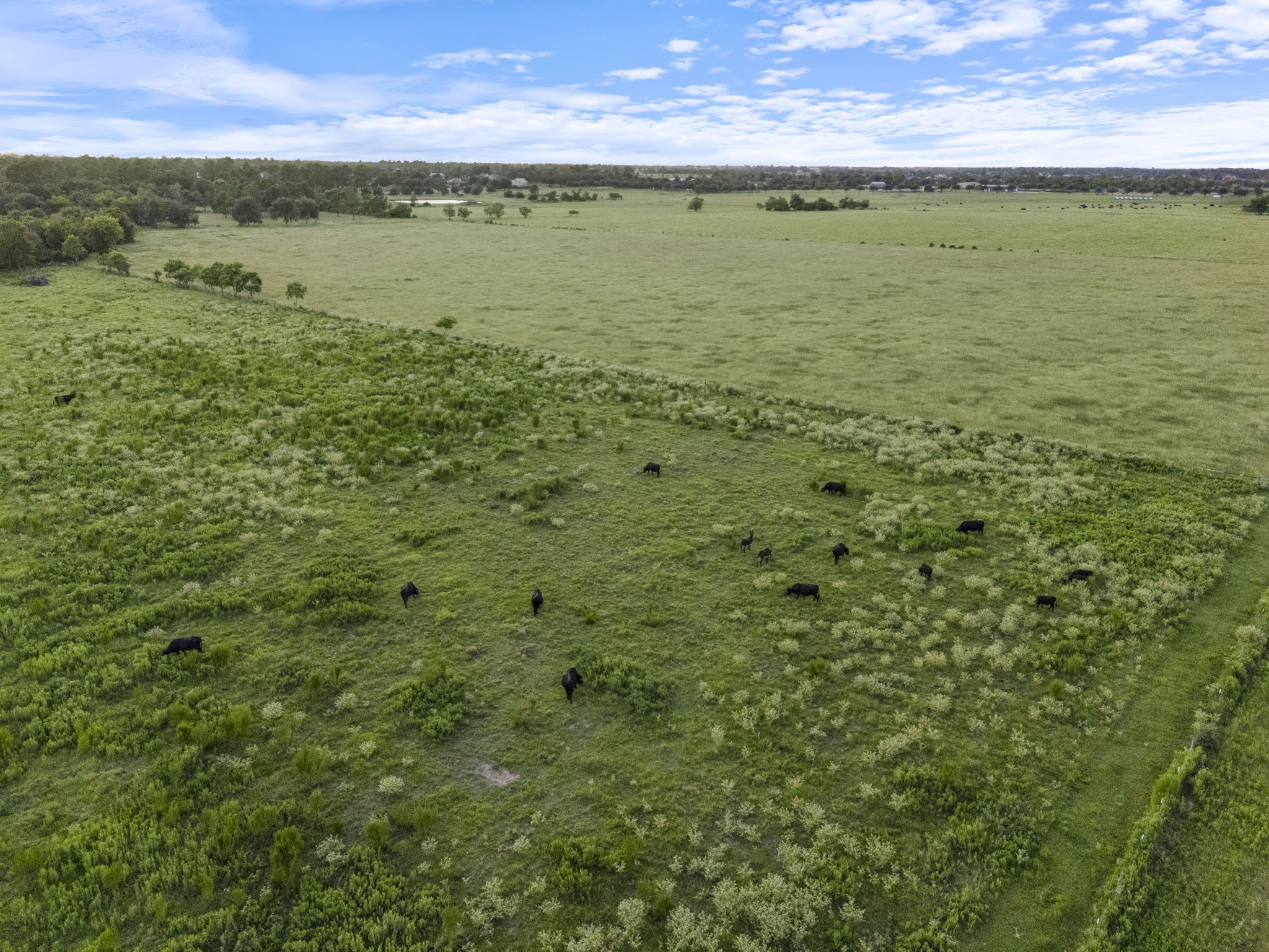 15610 Penick Road Waller, TX 77484 - Photo 18 of 49