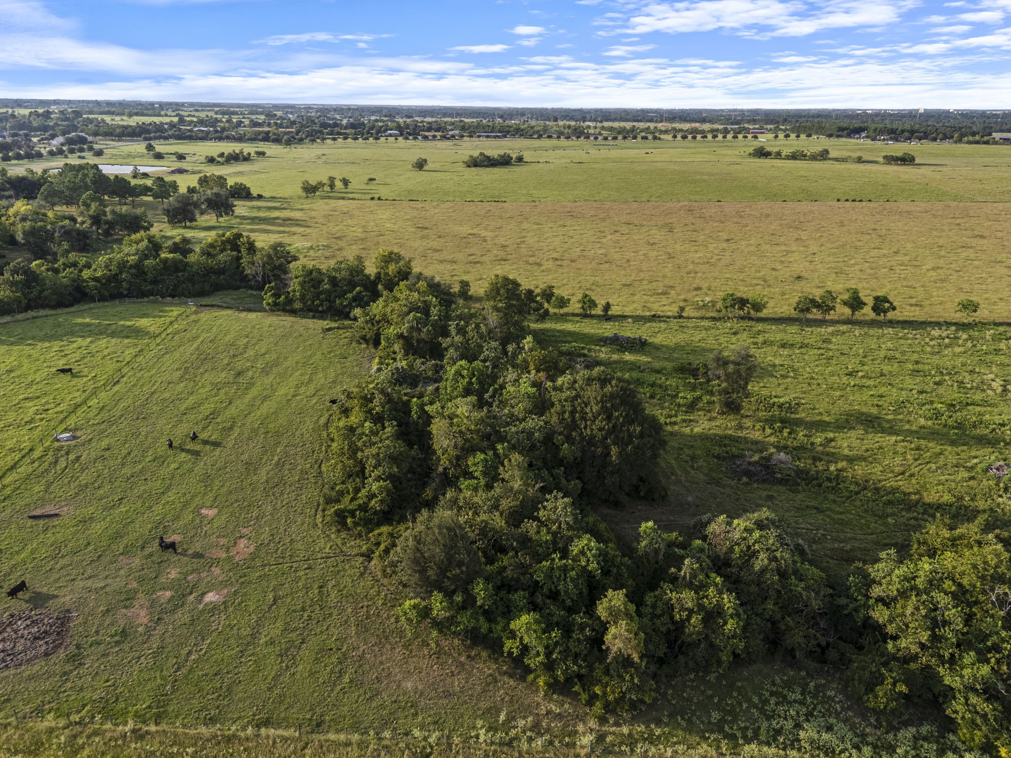 15610 Penick Road Waller, TX 77484 - Photo 19 of 49
