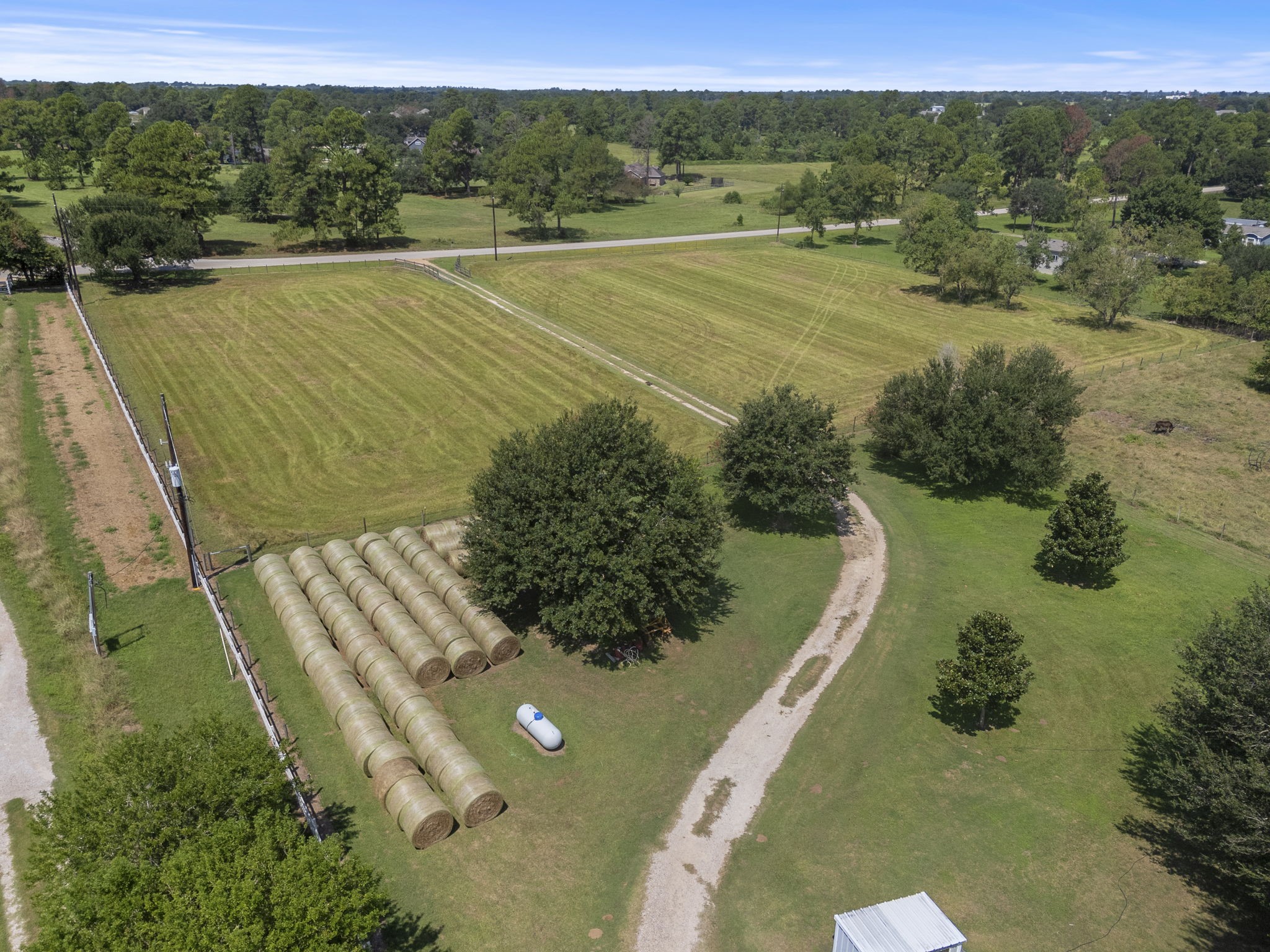 15610 Penick Road Waller, TX 77484 - Photo 8 of 49