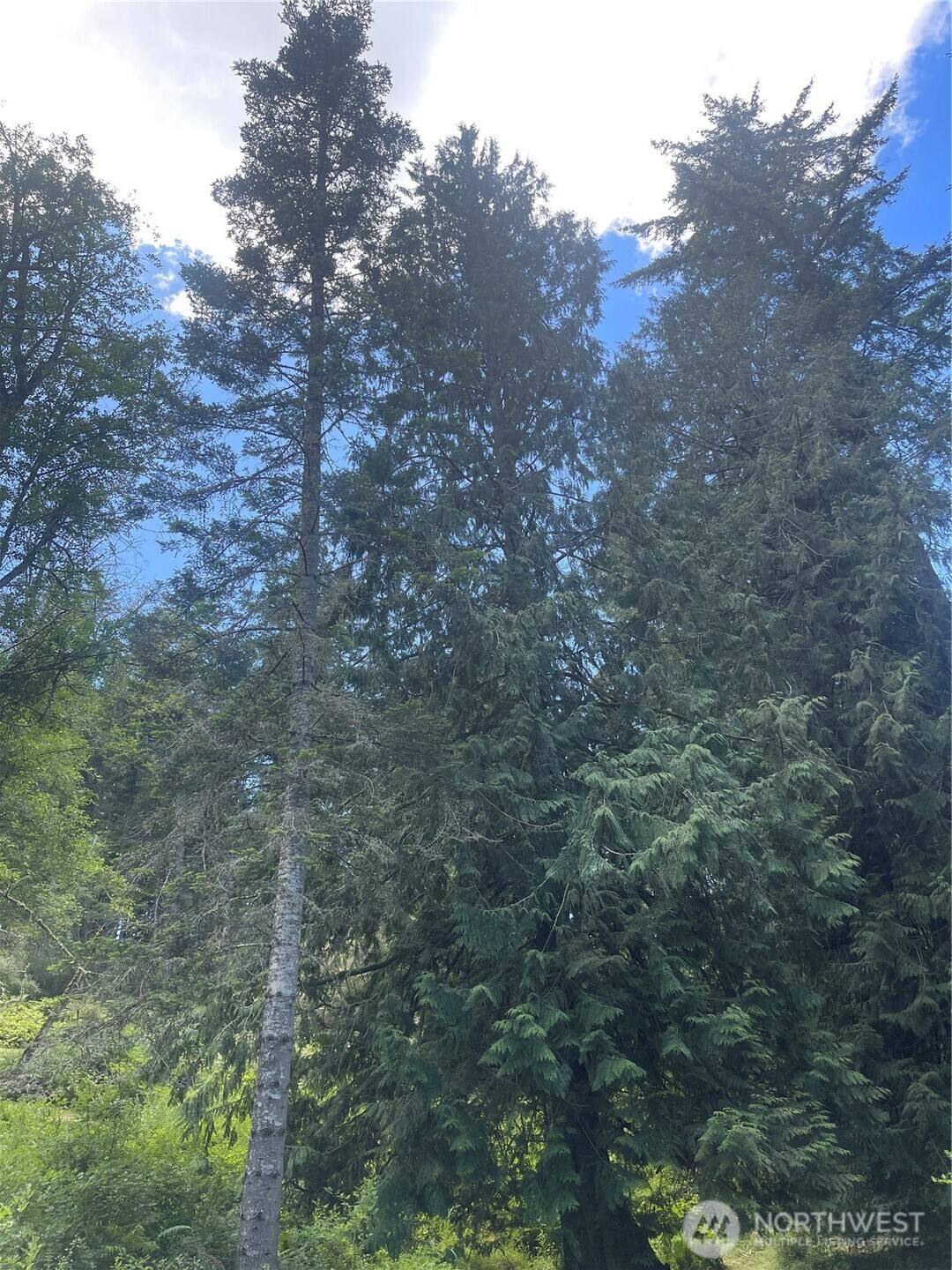 0 Reef Net Road Friday Harbor, WA 98250 - Photo 18 of 40
