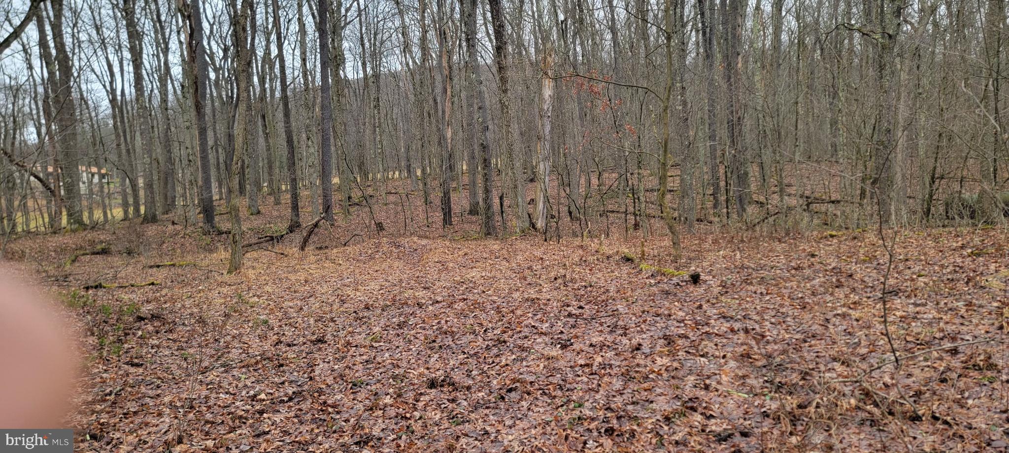 Camp Galilee Road Terra Alta, WV 26764 - Photo 35 of 40