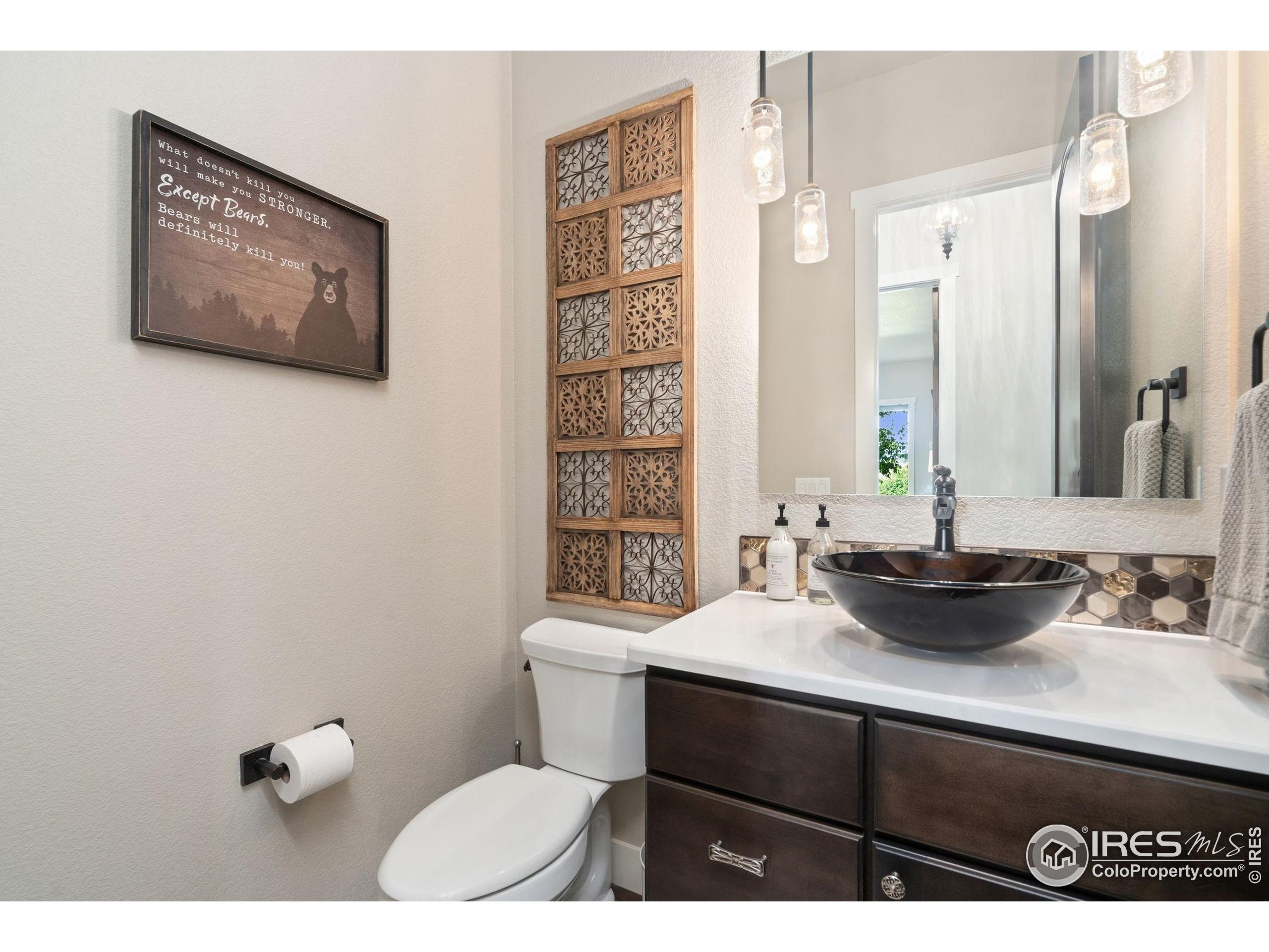 3828 Valley Crest Drive Timnath, CO 80547 - Photo 29 of 50 a bathroom with a toilet a sink and mirror