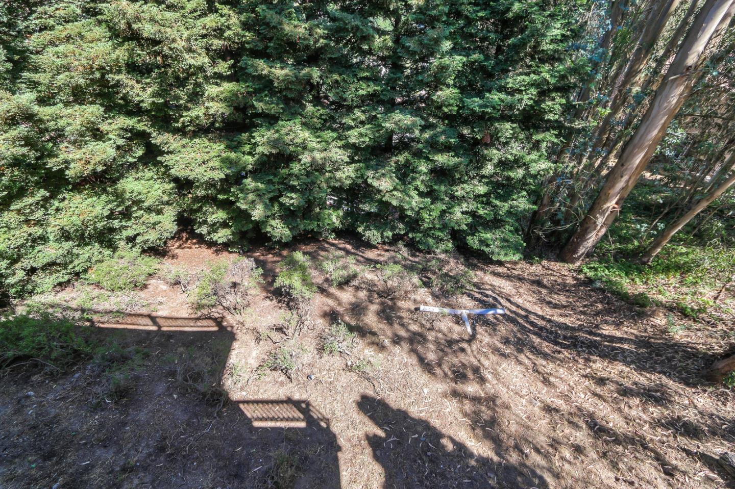 6840 Buckingham Boulevard Berkeley, CA 94705 - Photo 16 of 50 a view of a yard with a tree