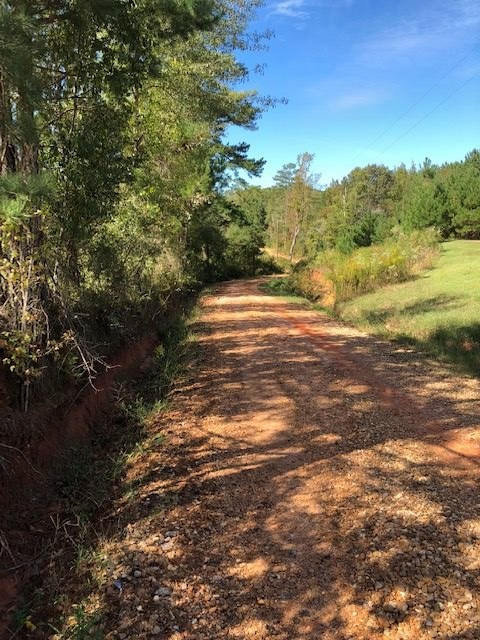 2753 Remus Road Carthage, MS 39051 - Photo 11 of 34 Photo 11