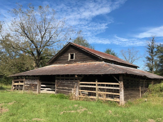 2753 Remus Road Carthage, MS 39051 - Photo 3 of 34 Photo 3
