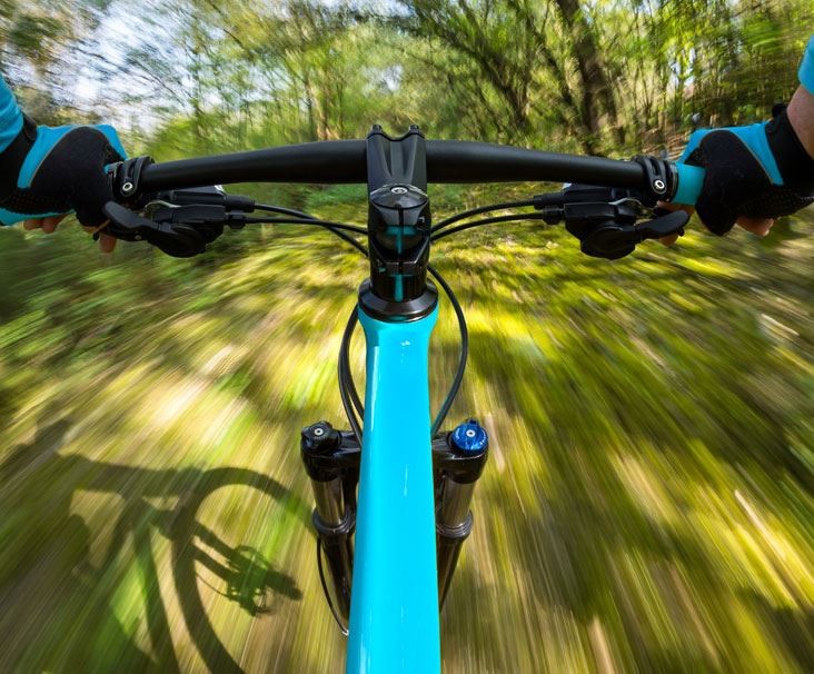 406 Quarry Road Gallatin, TN 37066 - Photo 7 of 9 a view of swimming pool from a yard