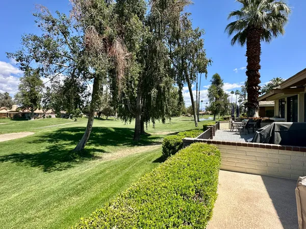 a view of a park with palm trees