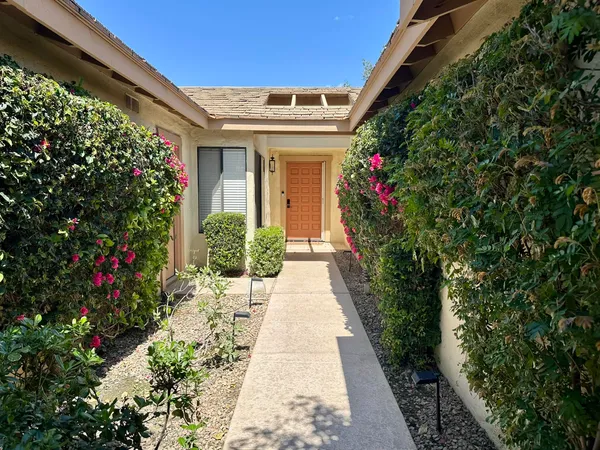 a view of a house with potted plants
