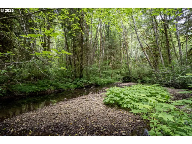 a view of a lake view with a space