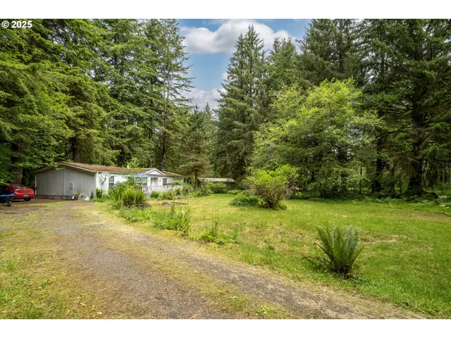 a green field with trees in the background