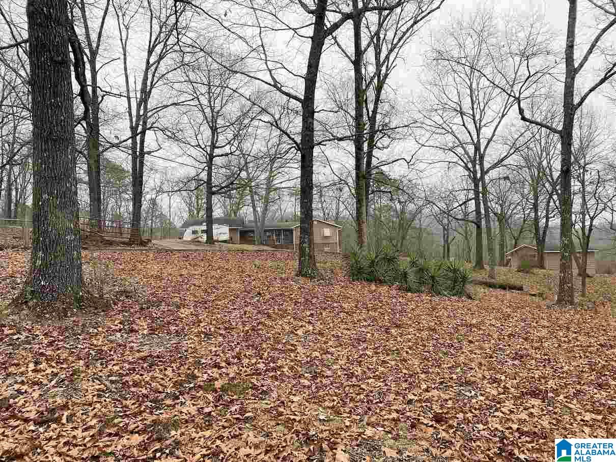 6669 Davison Road Pinson, AL 35126 - Photo 4 of 35