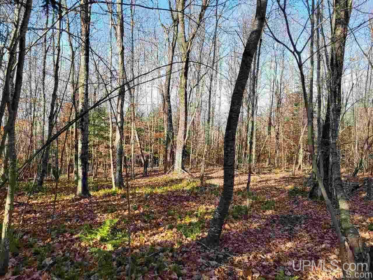 7014 West Co Road Manistique, MI 49854 - Photo 23 of 25