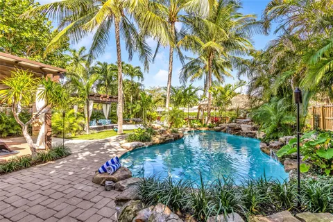 a view of a yard with plants and large trees