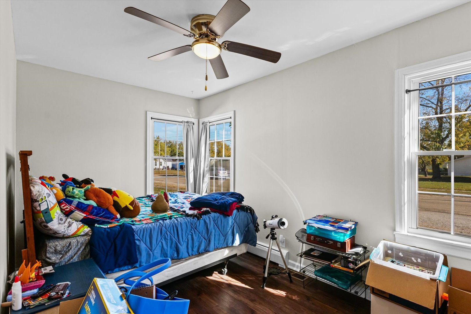 209 South Walnut Street Buckley, IL 60918 - Photo 18 of 30 a bedroom with furniture and a window