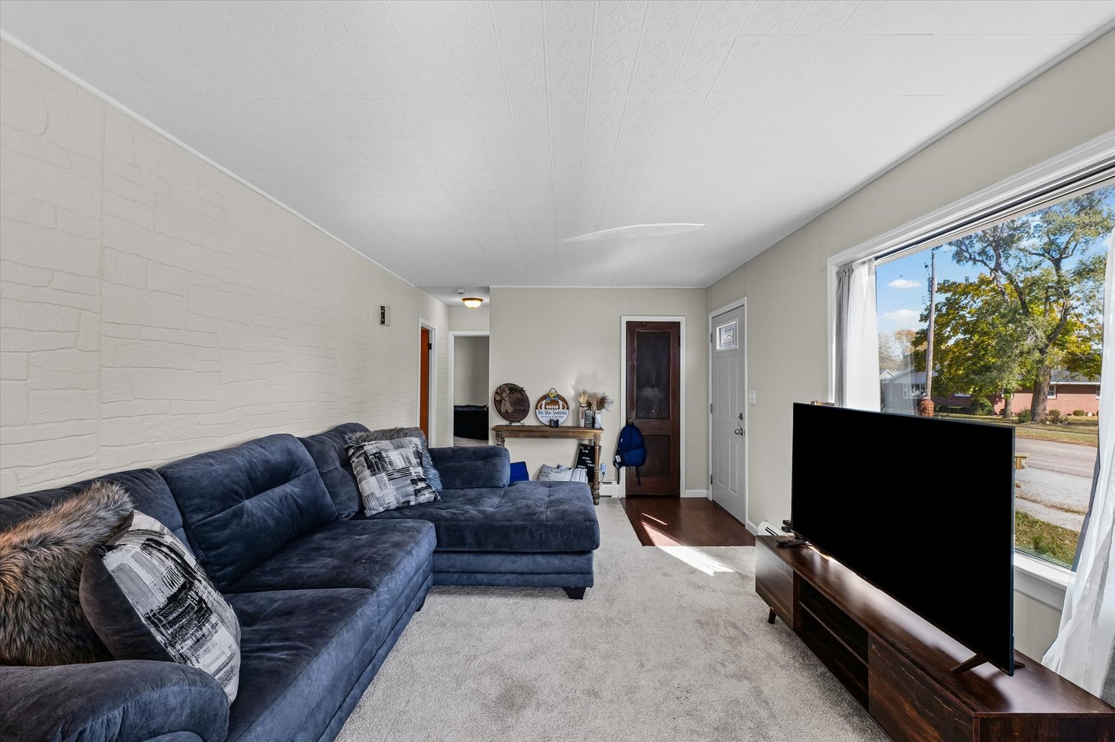 209 South Walnut Street Buckley, IL 60918 - Photo 8 of 30 a living room with furniture and a flat screen tv