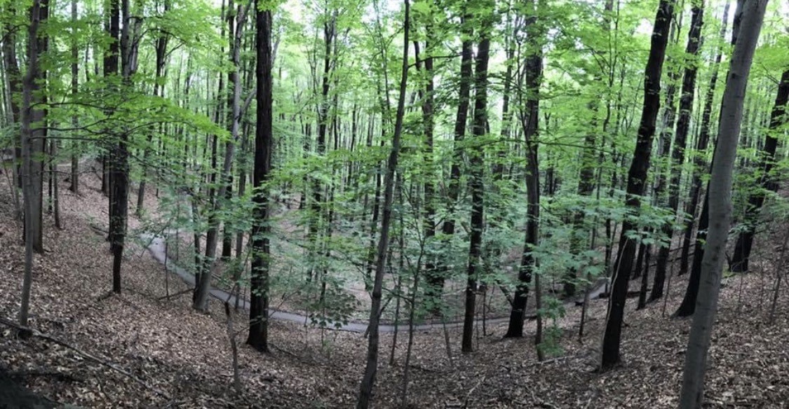 15 Shingle Mill Road Irondequoit, NY 14609 - Photo 45 of 47