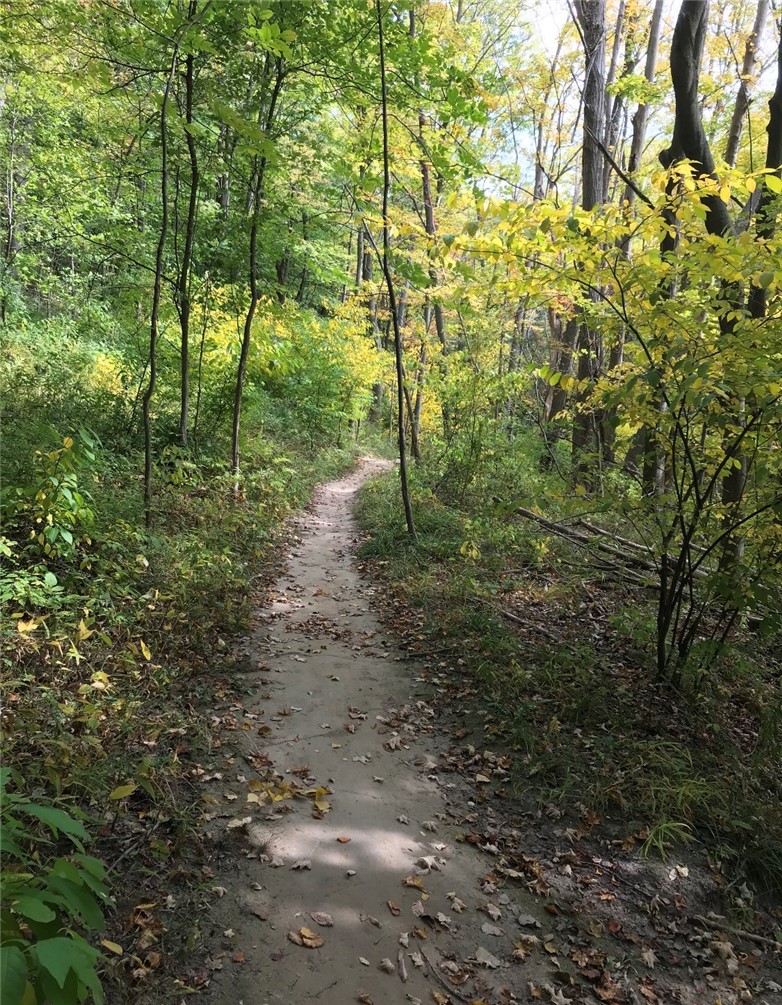 15 Shingle Mill Road Irondequoit, NY 14609 - Photo 47 of 47